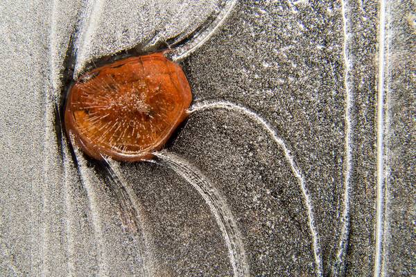 abstract