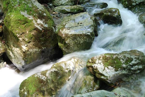 nature