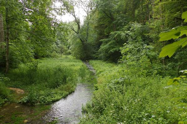 nature