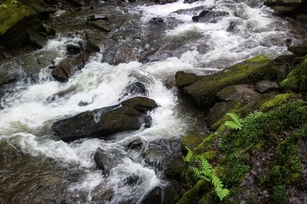 nature