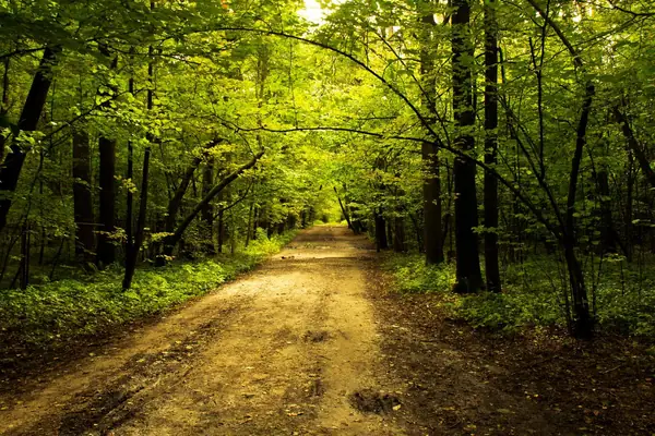 nature