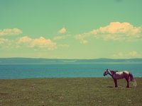 horse-lake.jpg