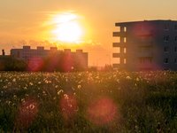 city-sunset.jpg
