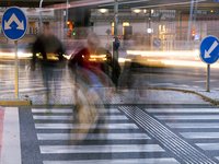 zebra-crossing.jpg