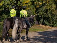 policemen-on-horses.jpg