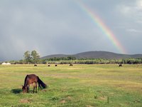 rainbow-horse-mongolia.jpg