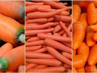carrot_vegetables_collage_food.jpg