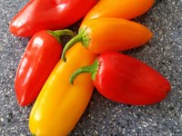 chiquino_peppers_food_cooking.jpg