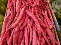 food_vegetables_beans_vegetarian.jpg