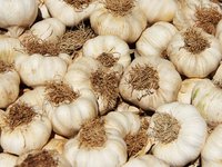 garlic_market_food_healthy.jpg
