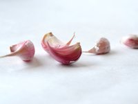 garlic_spices_food_healthy_0.jpg