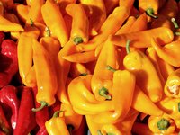 paprika_vegetables_yellow_food.jpg