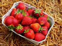 strawberries_fruit_red_food.jpg