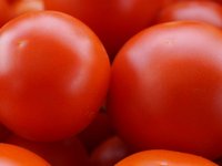 tomatoes_ripe_food_healthy.jpg