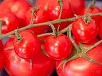 tomatoes_vegetables_food_red_0.jpg