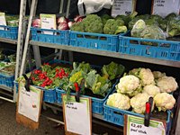 vegetable_fresh_food_nutrition.jpg