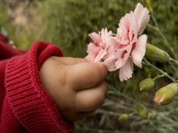 baby-hand-flower.jpg