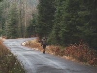 alone-in-forest.jpg