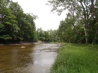 burchfield_nature_center_seneca.jpg