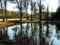 lagoon.jpg