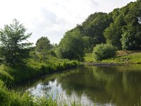 lake_landscape_nature_green.jpg
