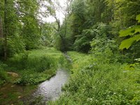 landscape_bach_nature_598392.jpg