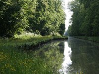 nature_field_forest_channel.jpg