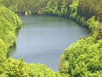 nature_pond.jpg
