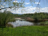 nature_pond_water_reserve.jpg