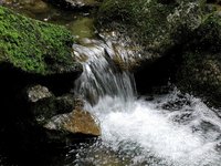 nature_reserve_stream.jpg
