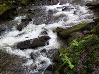 nature_water_river_wales.jpg