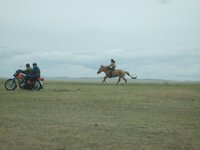 mongolian-horse-rider.jpg