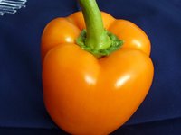 orange-paprika.jpg