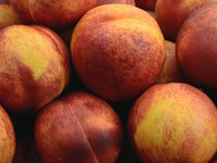 peaches.jpg