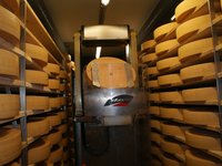 cheese_storage_cheese_cheese.jpg