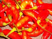 chili_red_lombok_spicy.jpg