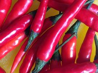 chili_red_sharp_eat.jpg