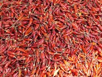 chili_spice_market_sharp.jpg