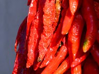 chilli_hot_red_spice.jpg