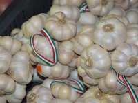 garlic_spice_market_998711.jpg