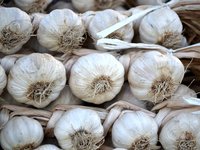 garlic_white_vegetables_1400584.jpg