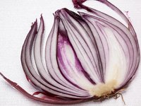 onion_allium_cepa_red_2.jpg