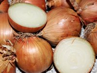 onion_vegetable_onion_brown.jpg