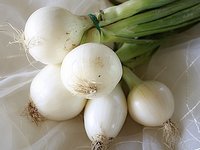 onion_vegetable_power_white.jpg