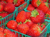 pike_place_market_express_28.jpg