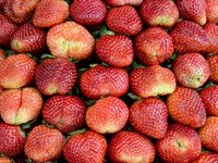 strawberries_red_dalat_vietnam_0.jpg