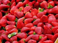 strawberries_red_fruit_99551.jpg