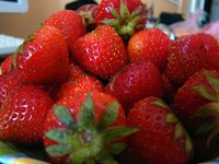 strawberry_berry_red_appetizing_0.jpg