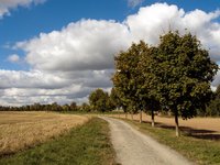 way-fields.jpg