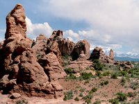windows_section_arches_np06.jpg